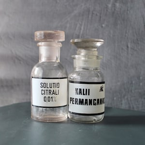 Small apothecary bottles Vintage Clear glass medicine jars with labels Steam punk gift Antique pharmacy poison bottles Victorian style gift