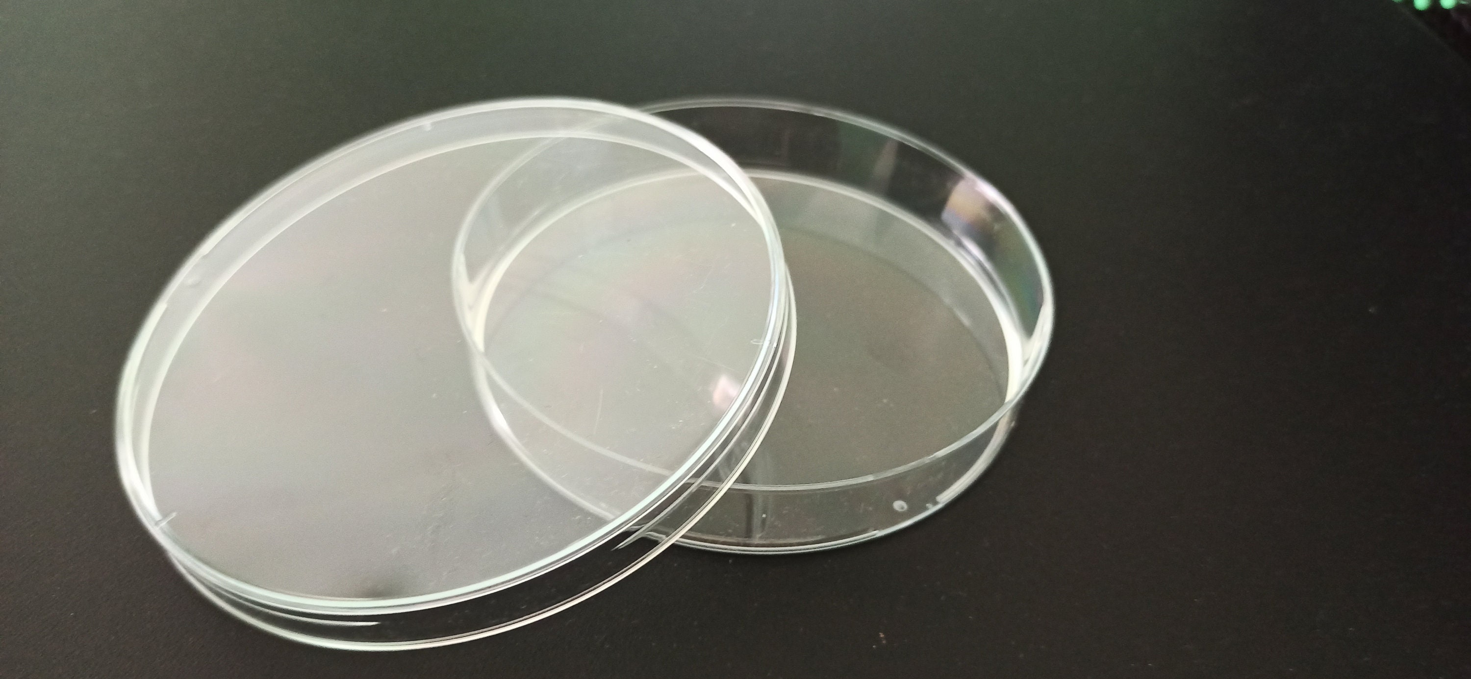Empty sterile Petri Dishes Laboratory supply Microbiology Etsy