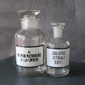 Vintage pharmacy bottles Clear glass apothecary jars Old pharmacy Poison bottles Victorian style gift Antique medicine bottles Pharmacy gift