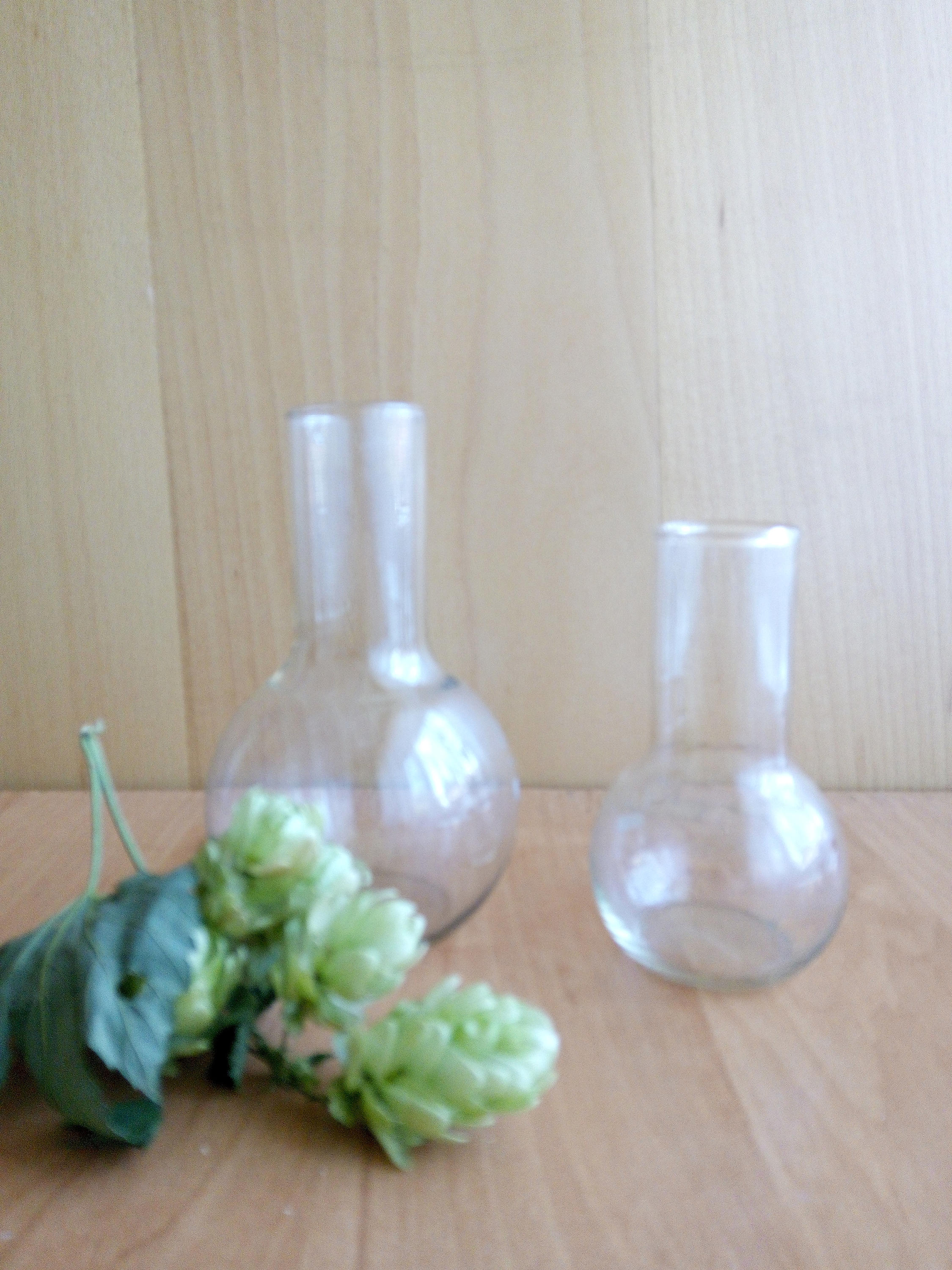 Science Art Bud Vase Vintage Science Laboratory Round Bottle Science