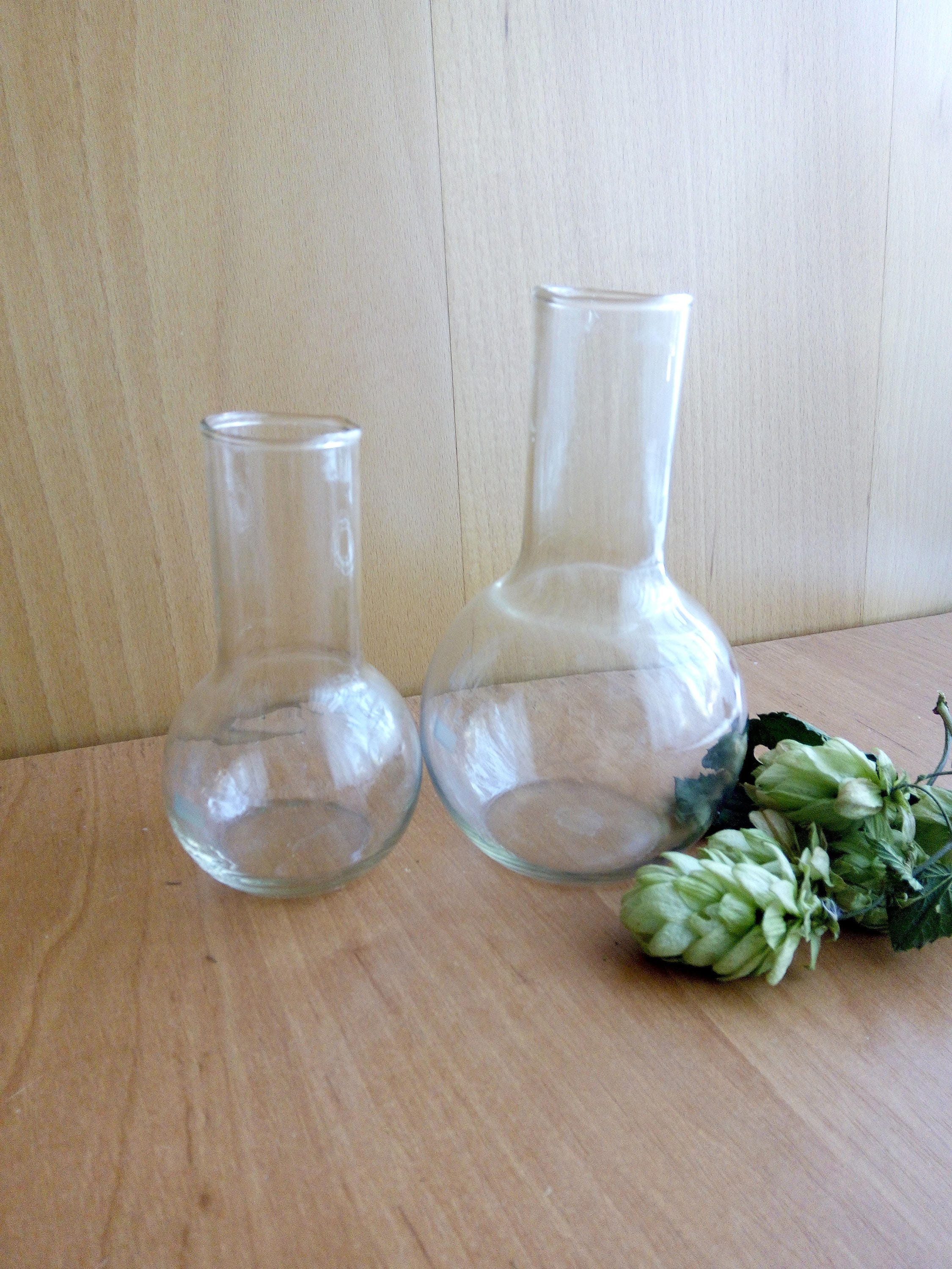 Science Art Bud Vase Vintage Science Laboratory Round Bottle Science Gift Vintage Science Decor