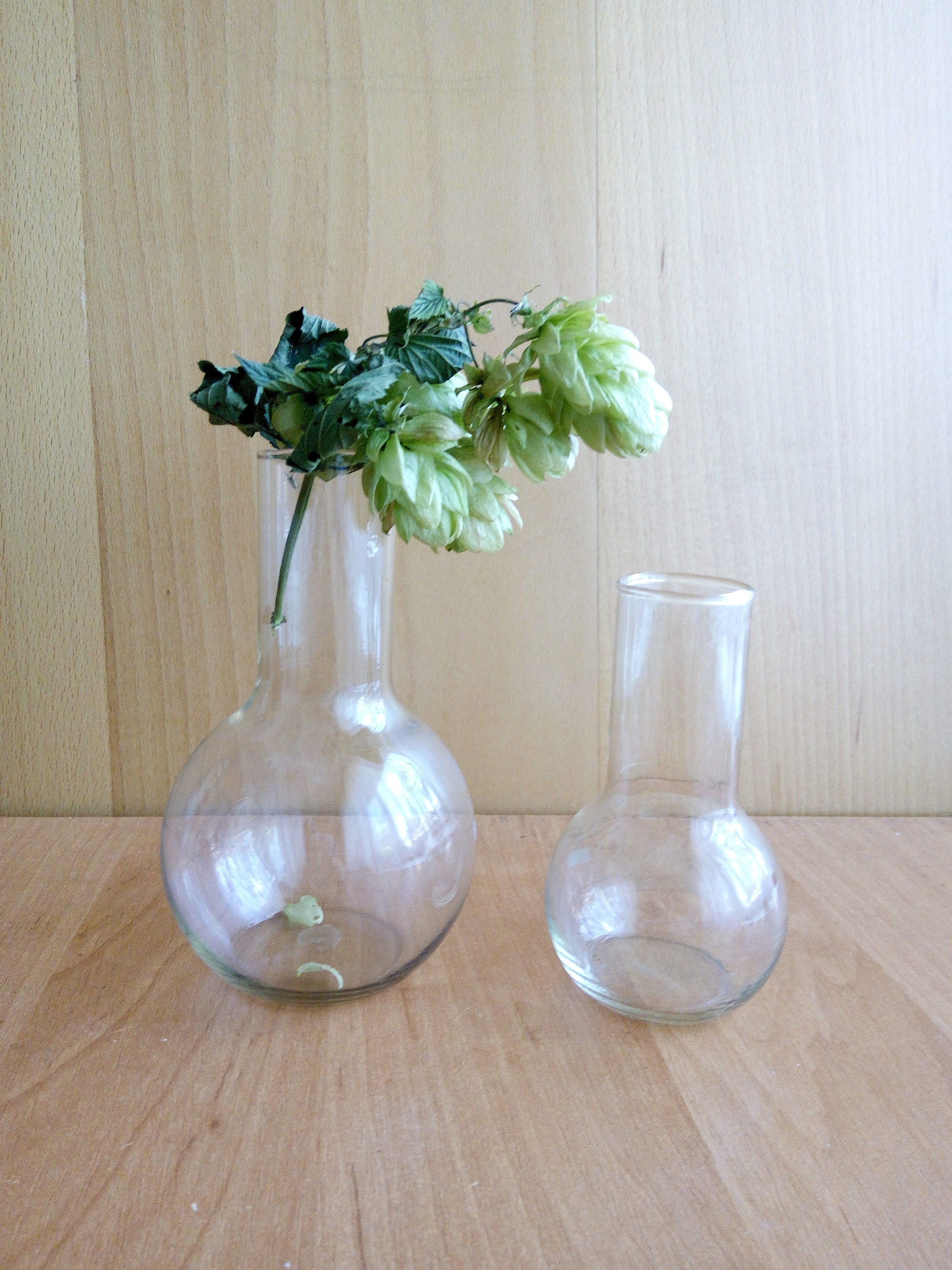 Science Art Bud Vase Vintage Science Laboratory Round Bottle Science