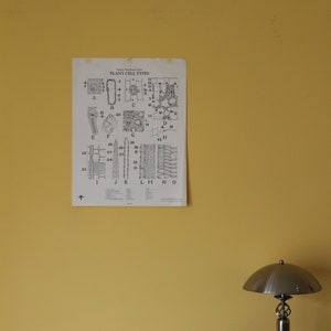 Vintage Plant Cell Types Klassenzimmer Chart von Turtox