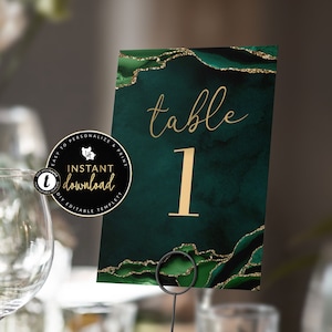 Bewerkbare tabelnummers, smaragdgroen en gouden agaat, 4 x 6 Templett-tabelnummers, Instant Download, Templett Invite