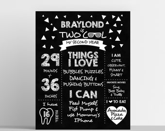 Two Cool Birthday Stats Board, Milestone Poster, 2nd Birthday Poster, Birthday Stats Poster, Printable Birthday Chalkboard, Two Cool