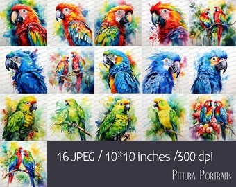 Colorful Parrots Clipart: Tropical Watercolor Art (Digital Download, 16 JPGs 10x10 inches )