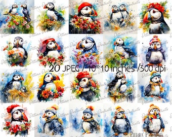 Watercolor Puffin Clipart: Nursery Art Bird JPGs (Digital Download)