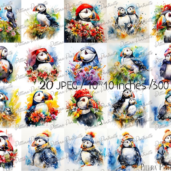 Watercolor Puffins Clipart -20 High Quality JPGs -Birds ,puffin,Nursery art ,bird watercolor,watercolor art ,Nursery Decor Digital Download