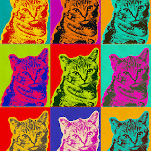 Custom Pet Portrait, Andy Warhol cat , custom cat portrait ,pop art portrait,pop  portrait, pet gift, cat's mom ,Kitten gift,Andy Warhol