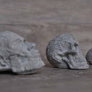 May include: Three gray concrete sculptures of human skulls. The sculptures are arranged in a row from left to right, with the largest sculpture on the left and the smallest sculpture on the right.