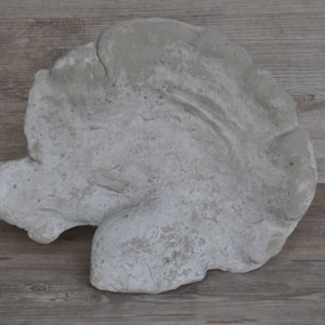 Concrete Tree Mushroom - Garden/Living Decoration