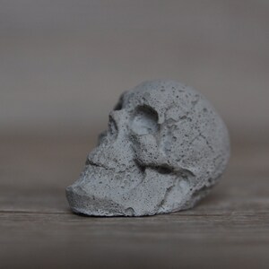 May include: A small, gray concrete skull with a textured surface. The skull is lying on its side, with its eye socket visible.