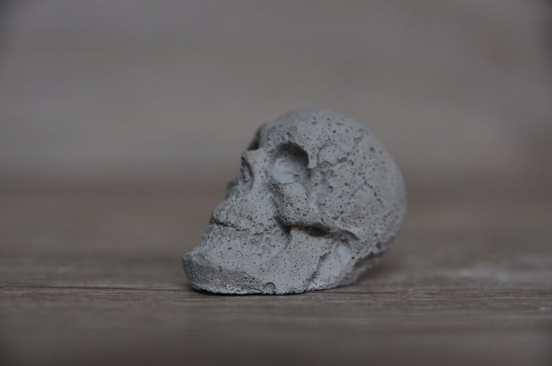 May include: A small, gray concrete skull with a textured surface. The skull is lying on its side, with its eye socket visible.