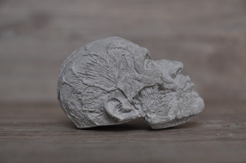 May include: A gray concrete sculpture of a human head, with detailed facial features, including wrinkles and a beard. The head is tilted upwards, looking to the right.