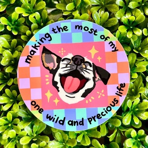 Making the Most of my One Wild and Precious Life — World&#39;s Best Chihuahua Sticker — Mary Oliver Poem Sticker