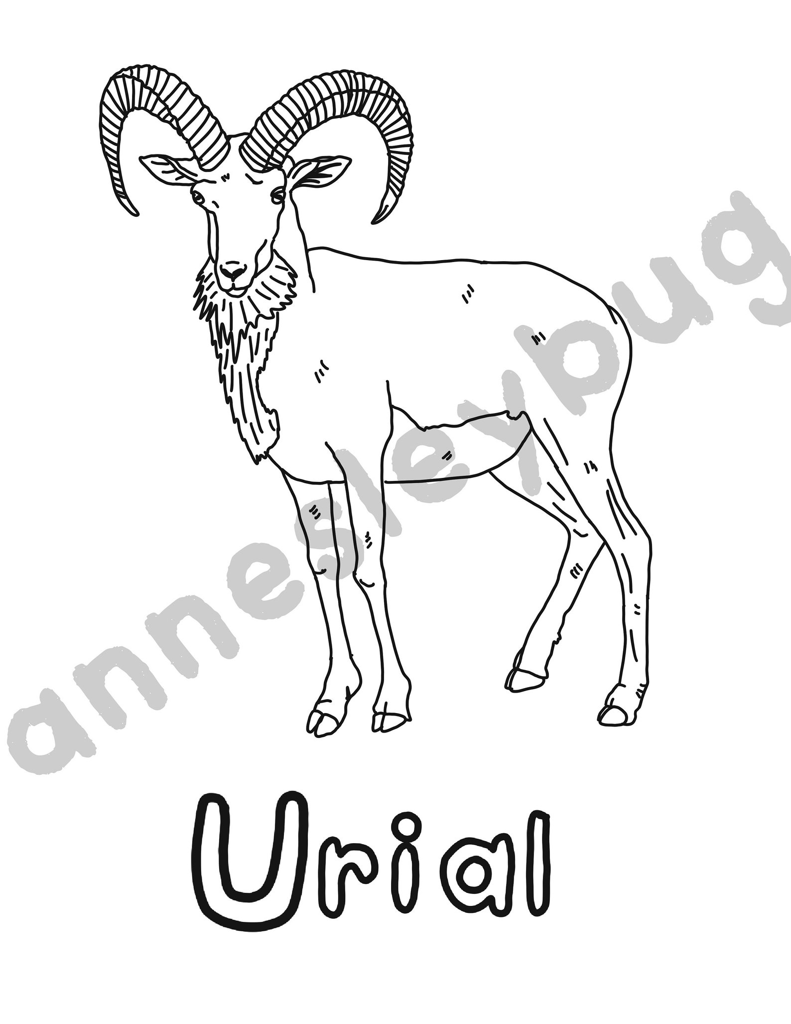 Weird Animals Coloring Pages DIGITAL DOWNLOAD ONLY - Etsy Italia