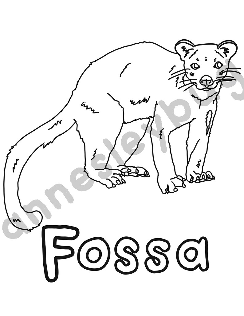 Weird Animals Coloring Pages DIGITAL DOWNLOAD ONLY | Etsy