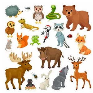 May include: A vibrant collection of cartoon illustrations featuring woodland creatures such as a bear, fox, deer, wolf, owl, squirrel, and snake. The animals are depicted in a cheerful, friendly style, ideal for children's designs and educational materials.