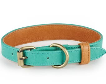 Laguna Turquoise Collier Cuir Chien