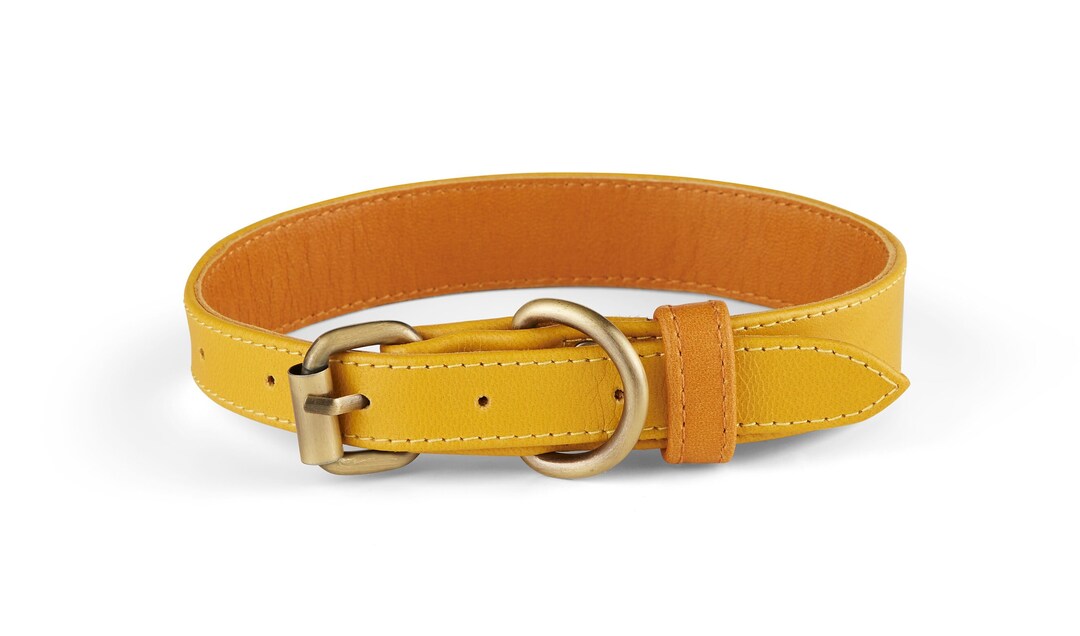 Holden Yellow Leather Dog Collar Etsy