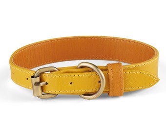 Holden Yellow Leather Dog Collar