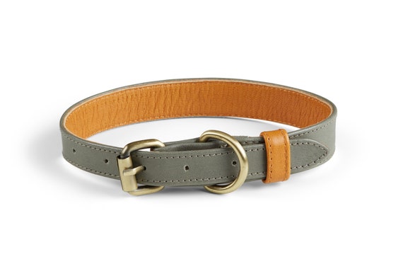 Etsy leather dog collar top