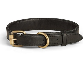 Rodanthe Collier pour chien en cuir noir