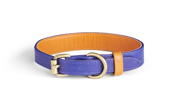 Dog clearance collar etsy