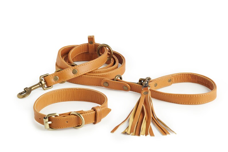 3 in 1 Leather Dog Leash and Collar Etsy
