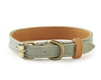 May include: A light gray leather dog collar with a brown leather trim and a brass buckle.