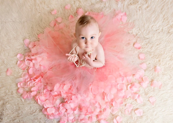 Tutu Pour Bebe Fille Smash The Cake Shooting Photos 1 An Etsy Tutu Pour Bebe Fille Smash The Cake Shooting Photos 1 An Etsy