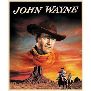 PD16628 John Wayne American West Quilt Panel, Riley Blake Designs, 35-1/2" x 42/44"