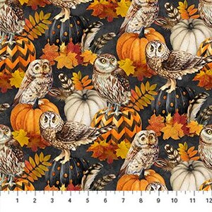 DP28846-96 NIGHT OWL QUILT Fabric, Northcott Fabrics, Fabric By The Yard