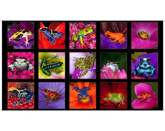 1649-27934-J ARTWORKS XVII BLACK Frog Patches Quilt Panel, Quilting Treasures, 24-1/2" x 42/44"