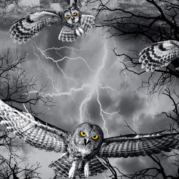 C7023 NIGHT WICKED HALLOWEEN Quilt Fabric, Timeless Treasures, Hoot Owl/Graveyard/Cemetery/Trees/Lightening/Foggy, Black & Grey