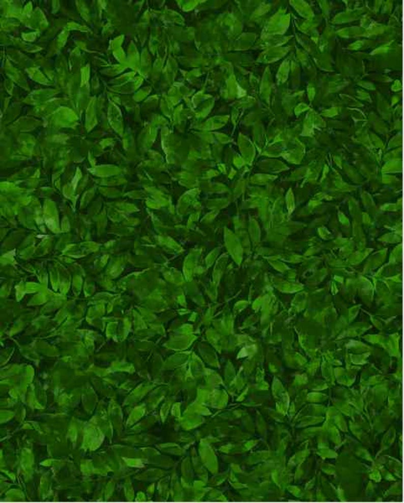 OA59-57008 NATURES PALETTE LEAF Tonal Forest Quilt Fabric, Oasis ...