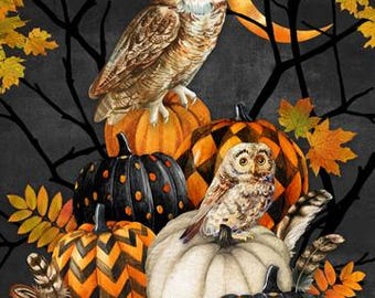DP28842-96 NIGHT OWL QUILT Panel, Northcott Fabrics, 25-1/2" x 42/44"