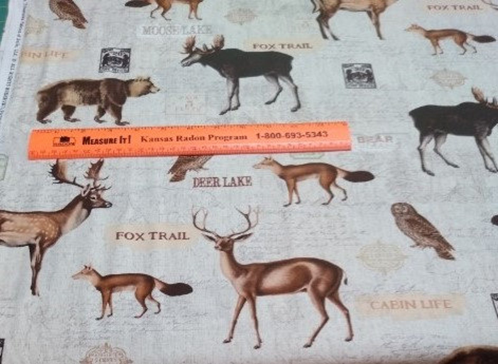KATIEC5256 WOODLAND ANIMAL Print Quilt Fabric Timeless Etsy
