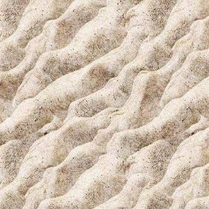 2600-31311-E EARTHLY DELIGHTS SAND Quilt Fabric, Quilting Treasures, Fabric By The Yard