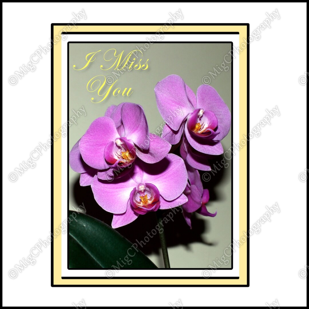Downloadable Printable Miss You Card for Her, Digital Downloads Best Friend Flower Card, Orchid ...