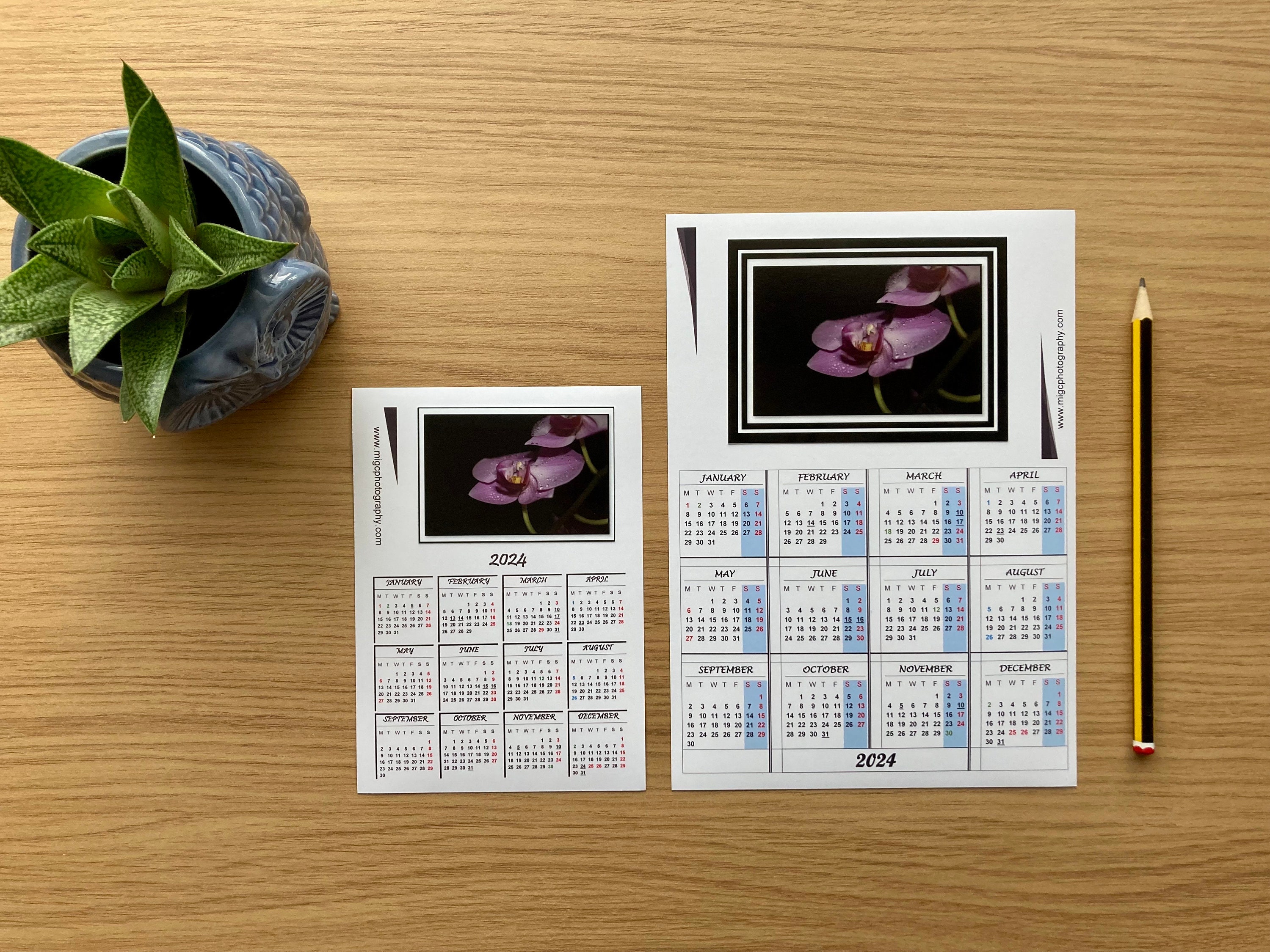 Calendario da frigorifero magnetico per il 2024, calendario fotografico per  l'intero anno fatto in casa per frigorifero, calendario magnetico floreale  per artisti -  Italia
