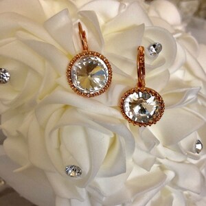Rose Gold Finished Brass and Pewter Glass Earrings     526