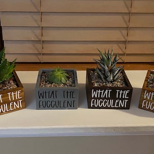 May include: Four wooden succulent planters with the text "What the Fuggulent" on each. The planters are painted in different colors: brown, gray, brown, and brown. The succulents are green and have different shapes and sizes.