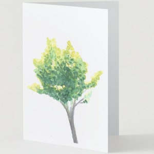 Cartes d'arbres aquarelles (vierges, 5x7)