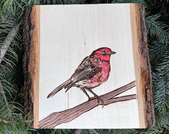 Bird art house finch wood slice bird lover art