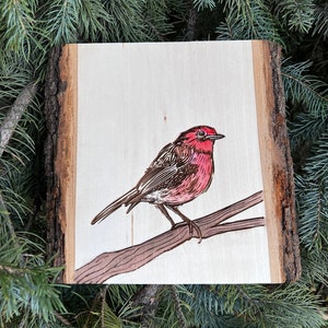 Bird art house finch wood slice bird lover art image 1