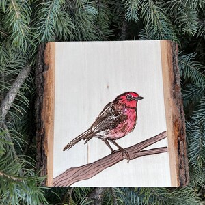 Bird art house finch wood slice bird lover art image 5