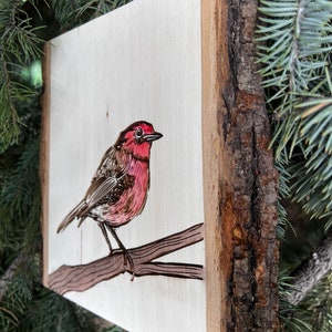 Bird art house finch wood slice bird lover art image 4