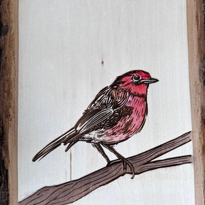 Bird art house finch wood slice bird lover art image 2