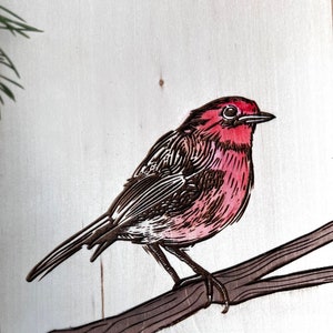 Bird art house finch wood slice bird lover art image 3